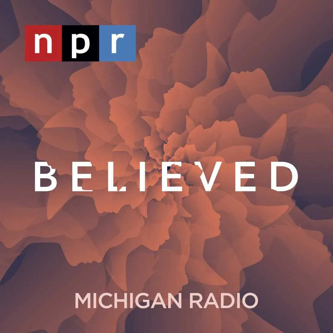 Believed: a revealing systemic failure