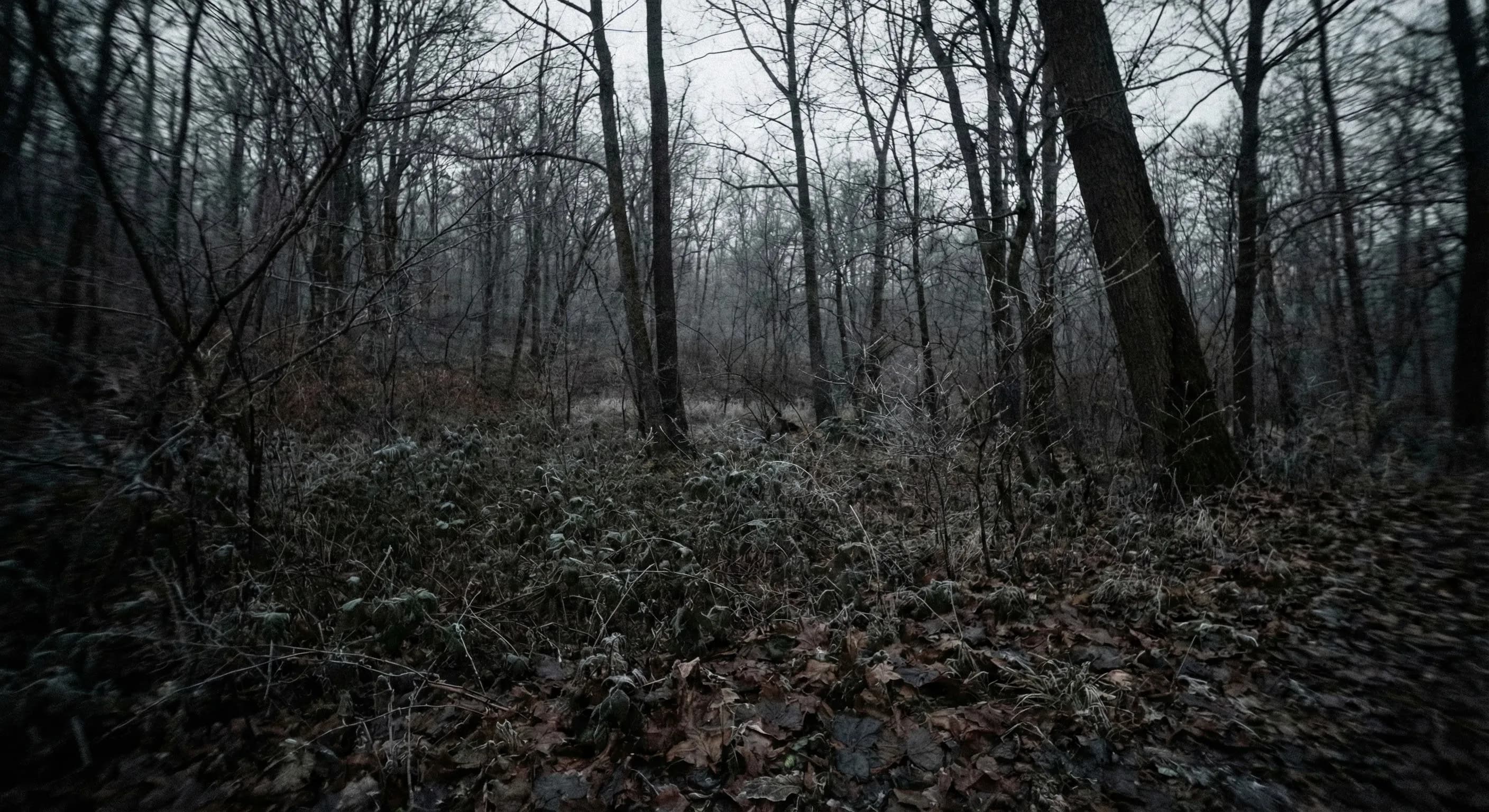 Leakin Parks silent witness