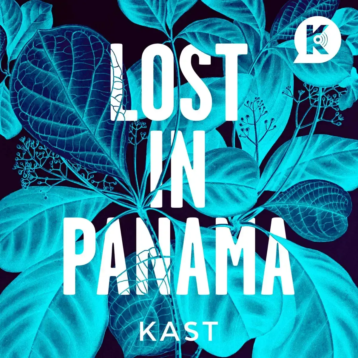 Lost in Panama: uncovering a challenging disappearance