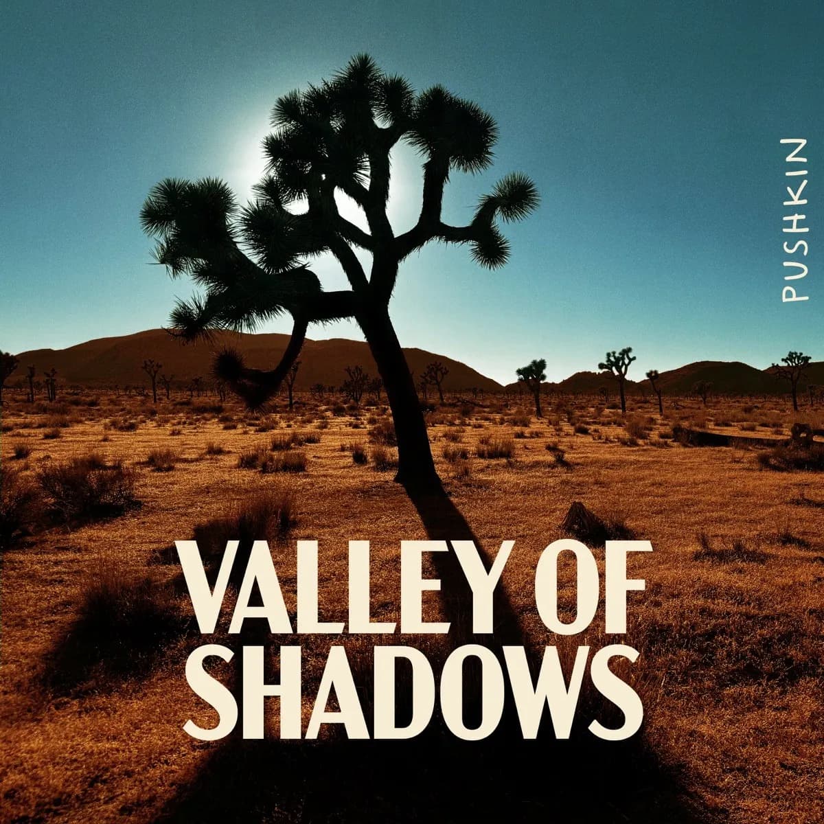 Officielt coverbillede for Valley of Shadows