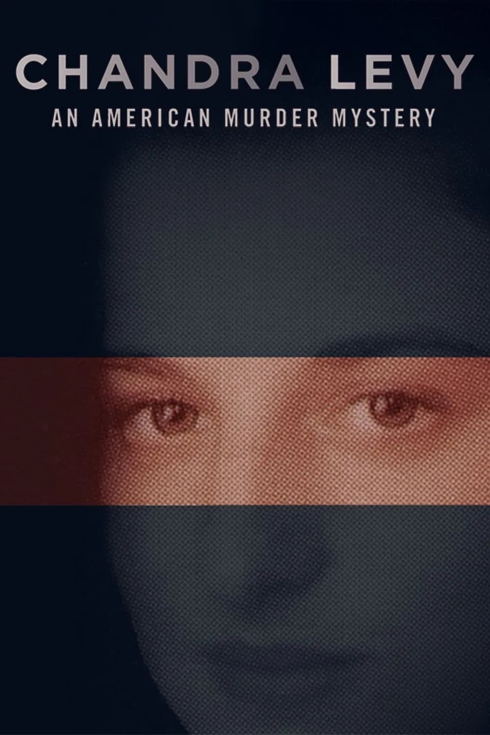 Chandra Levy: An American Murder Mystery promotional poster