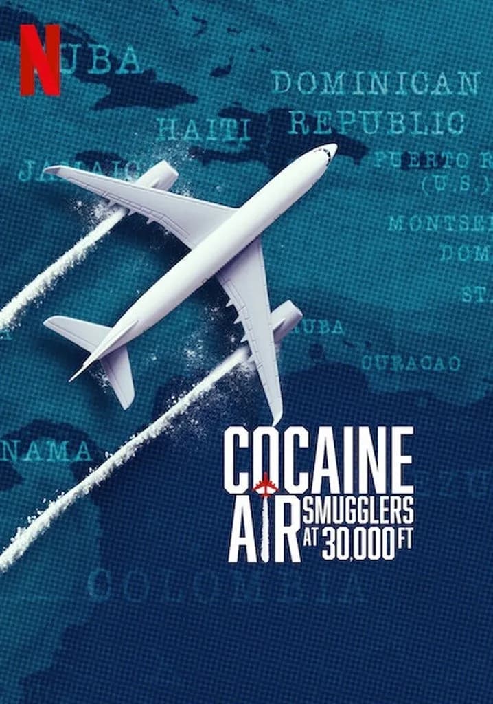 Y a-t-il un dealer dans l'avion ? promotional poster