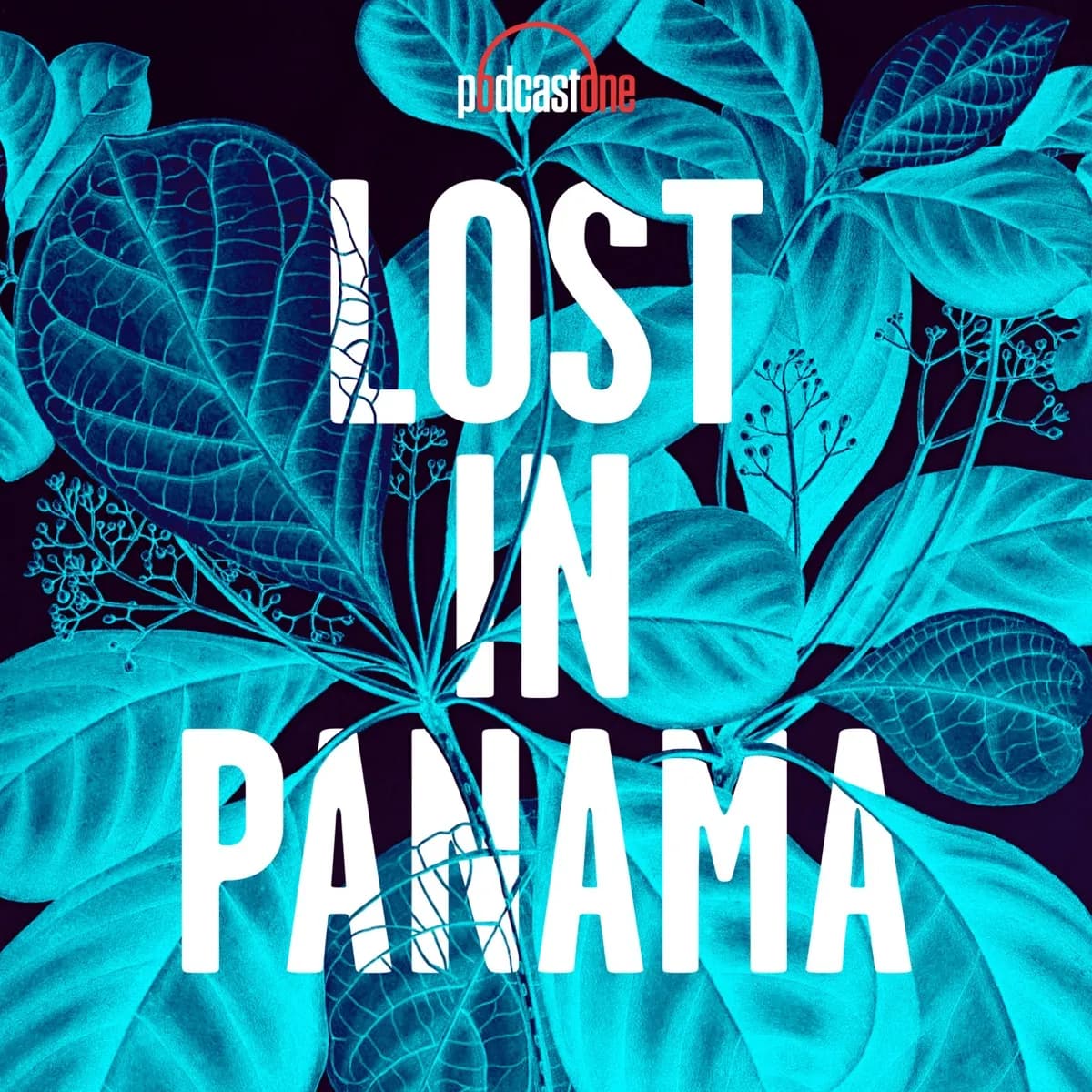 Tim Ballard: Unmasking a Hero — Lost in Panama, podcast-episode