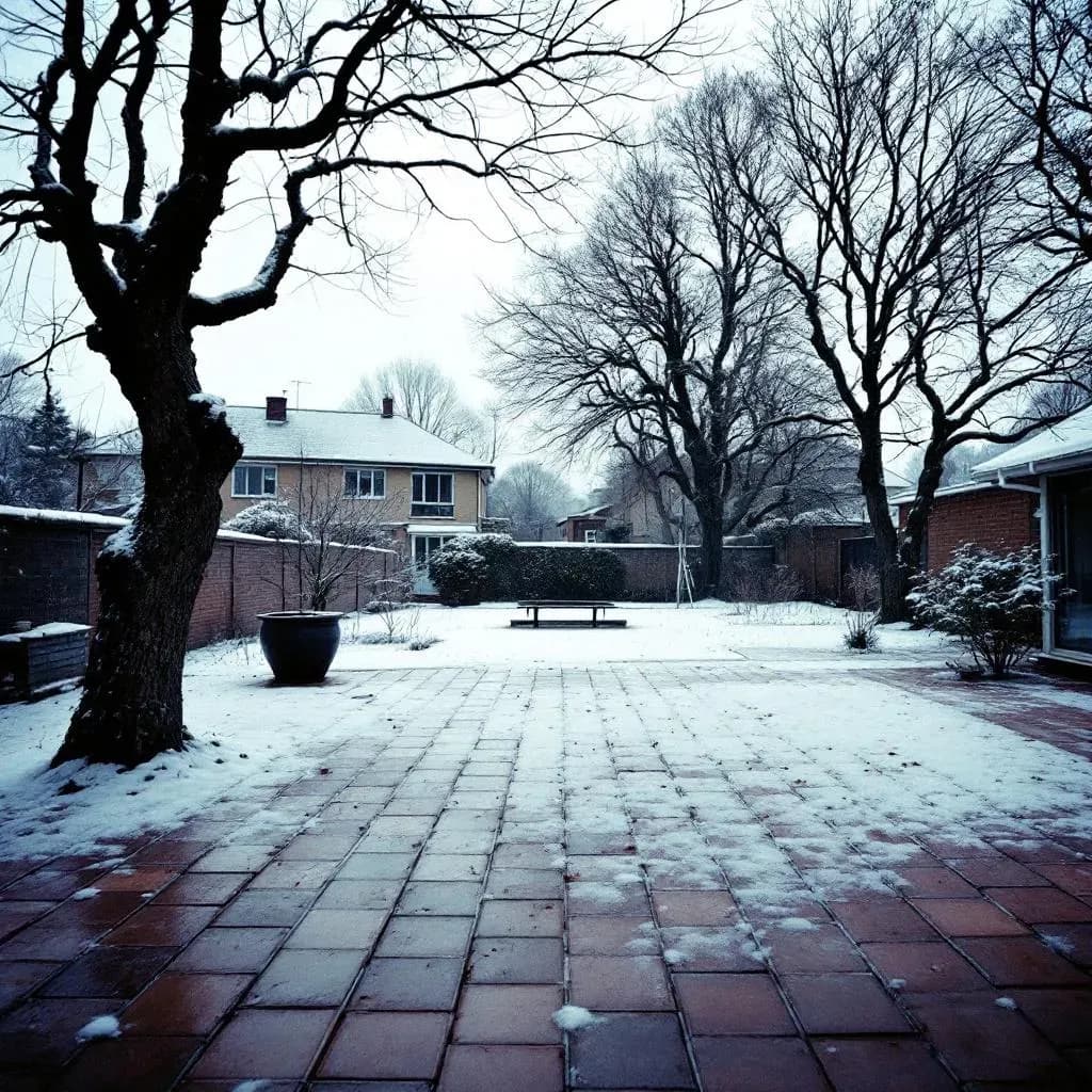 Stille dansk forstadshave om vinteren, terrassesten, bare træer, grå himmel, Odense