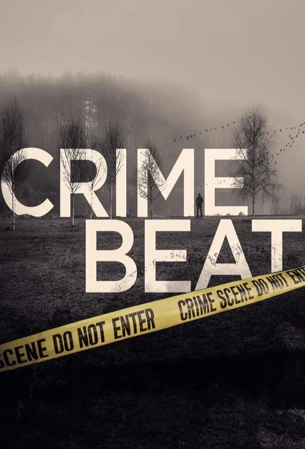Crime Beat: True Crime with In-Depth Insight