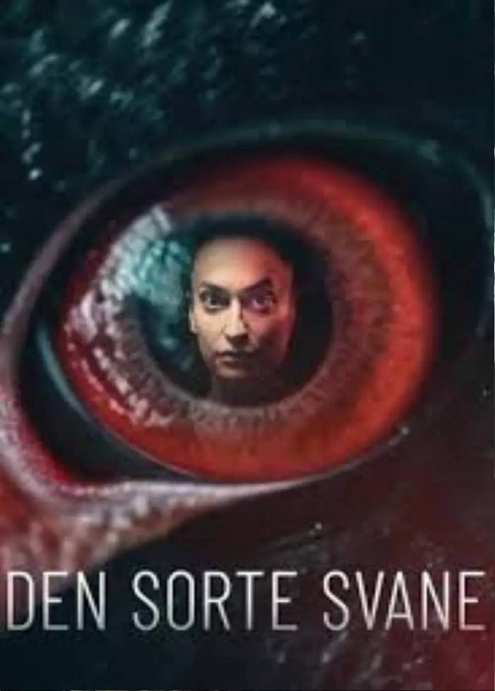 The Black Swan: Crime Networks in High Society