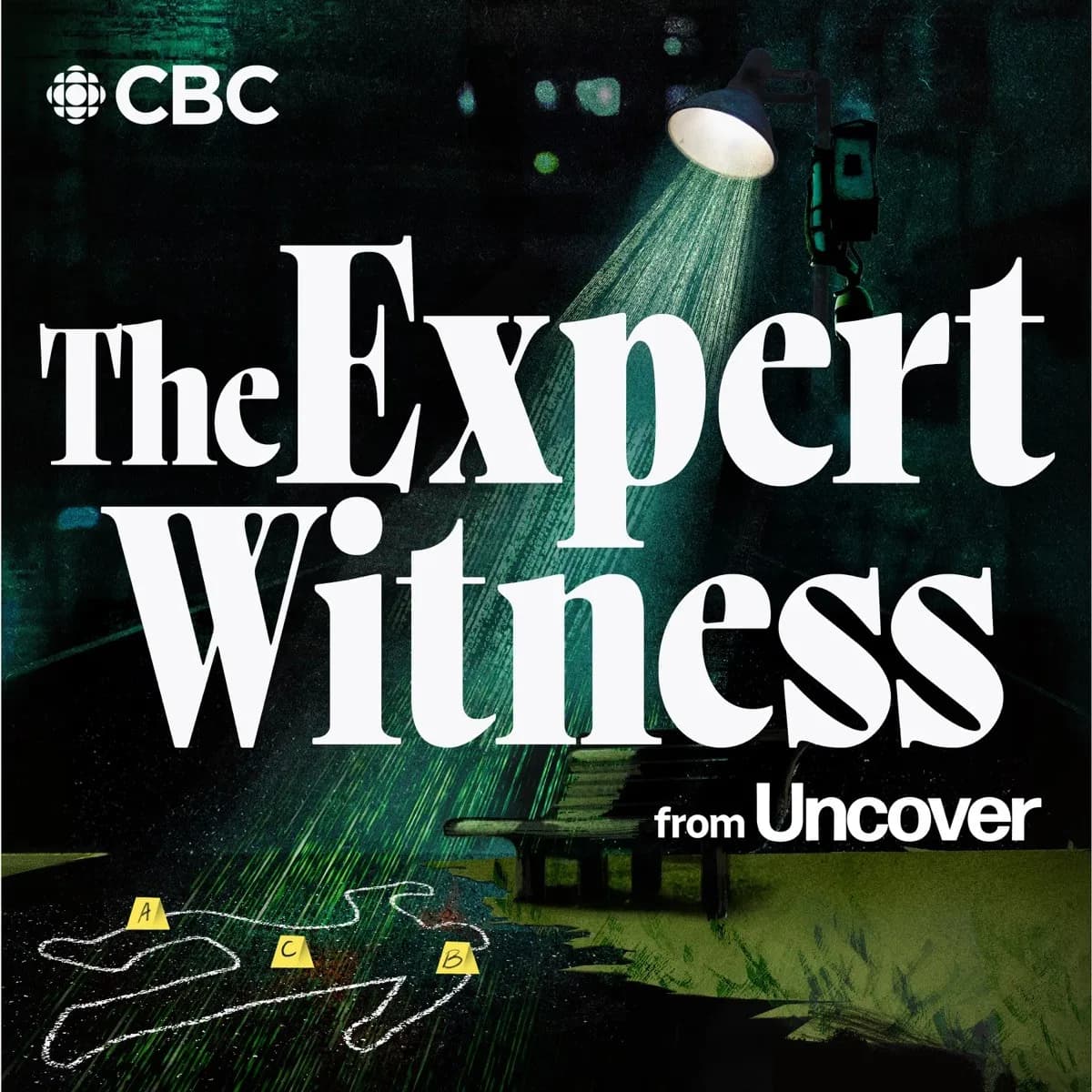 Officielt coverbillede for The Expert Witness from Uncover