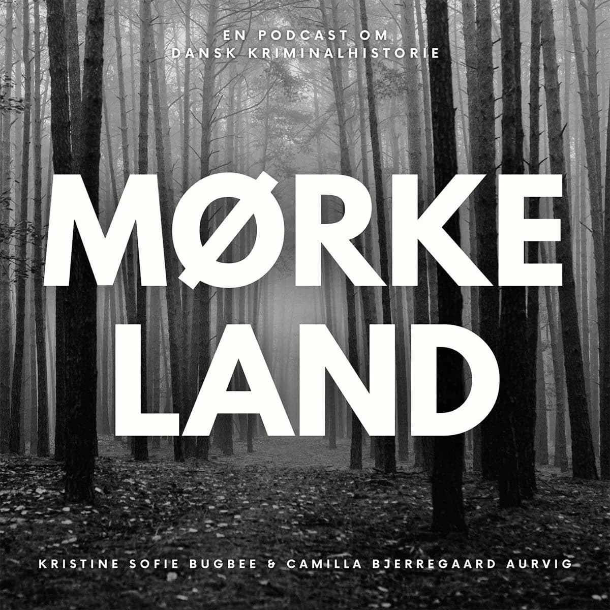 Officielt coverbillede for Mørkeland
