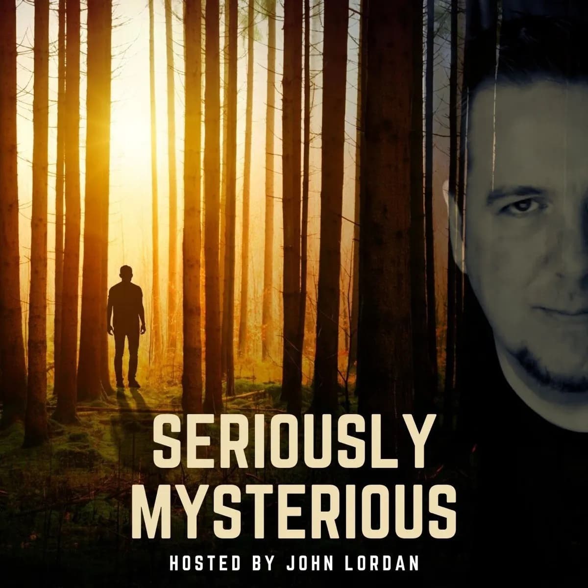 Officielt coverbillede for Seriously Mysterious