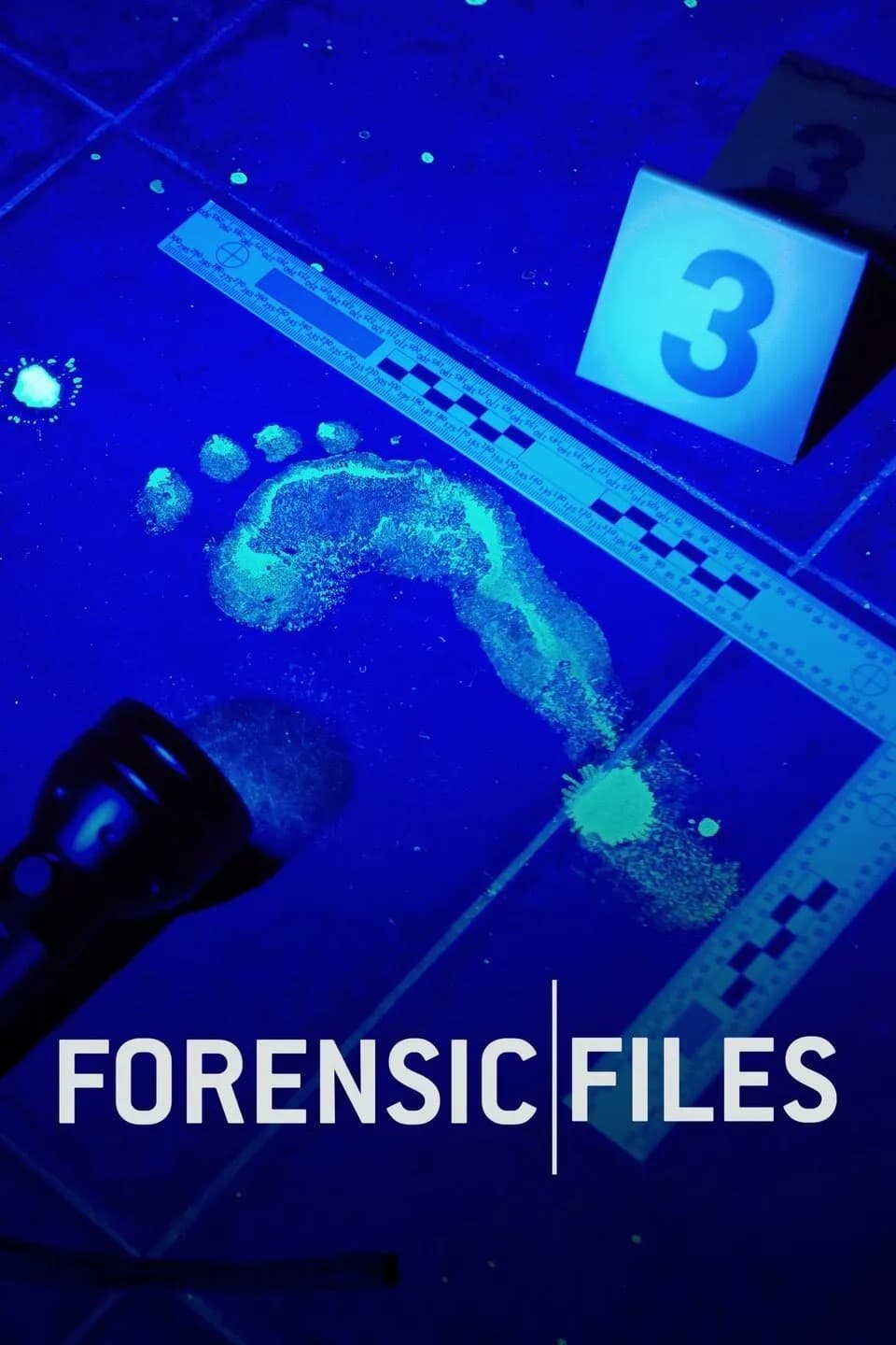 Forensic Files (1996) true crime docuseries poster