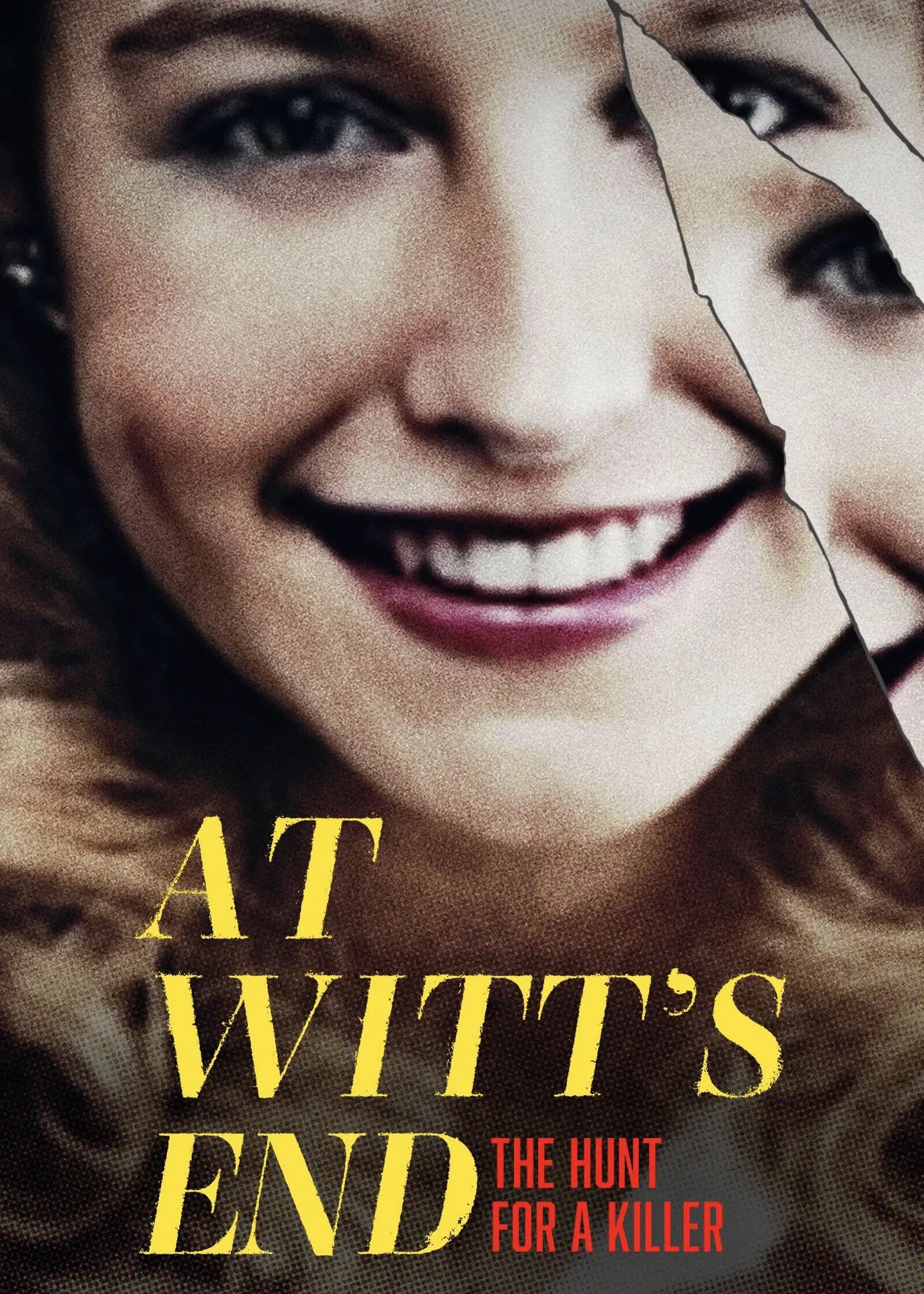 At Witt's End: The Hunt for a Killer promotional poster