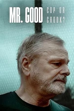 Mr. Good: Cop or Crook? promotional poster