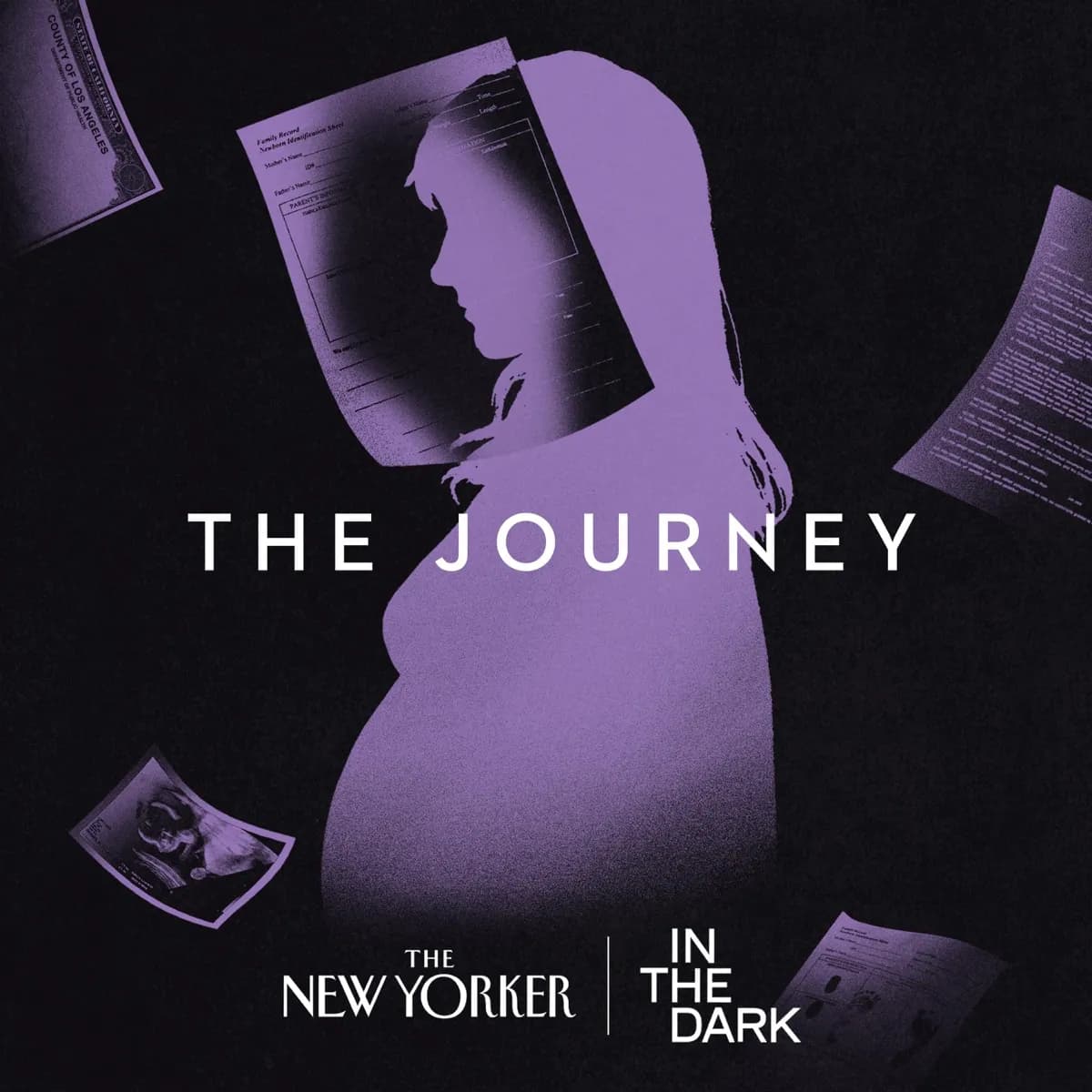 The Journey, Episode 2: Intended Parents — In the Dark, podcast-episode